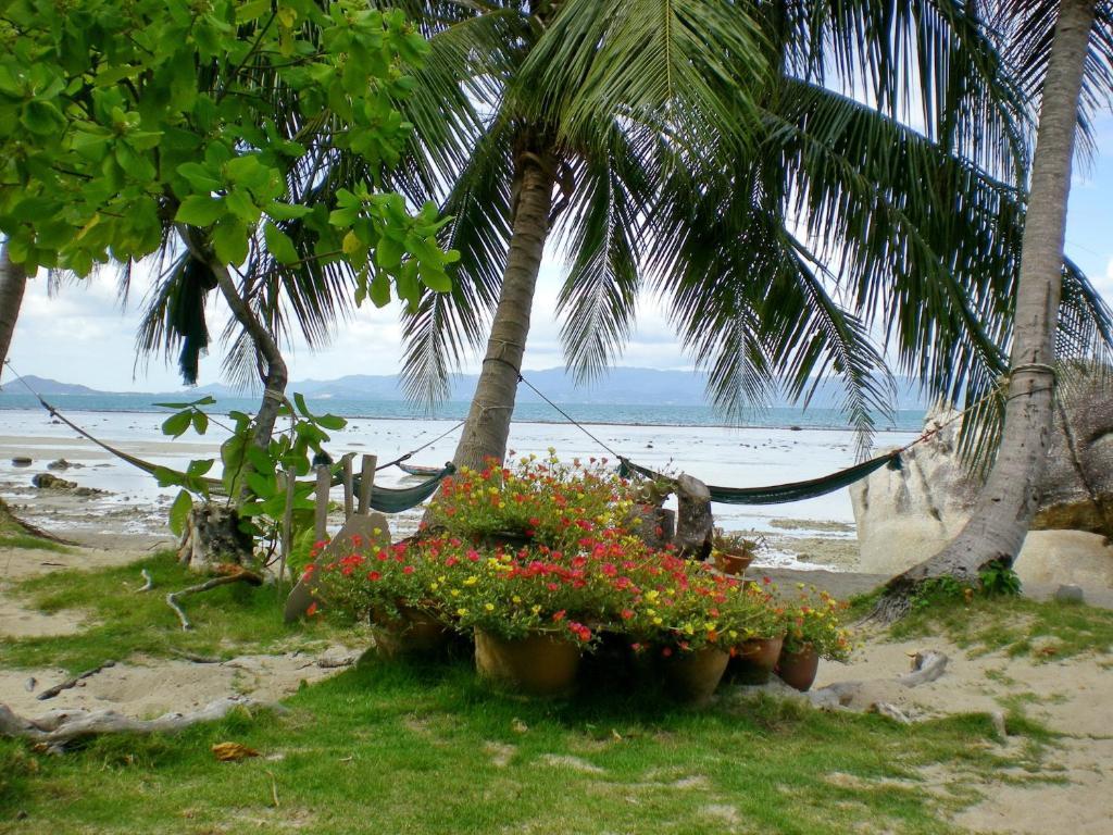 Thong Yang Bungalow Ko Pha Ngan Extérieur photo