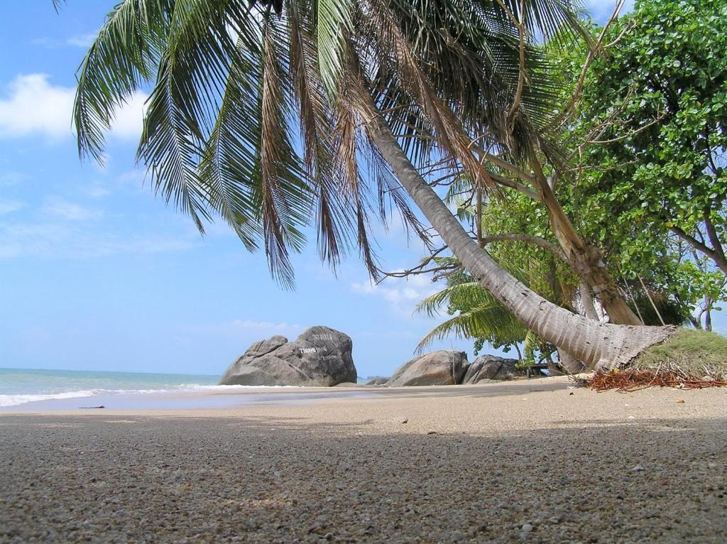 Thong Yang Bungalow Ko Pha Ngan Extérieur photo